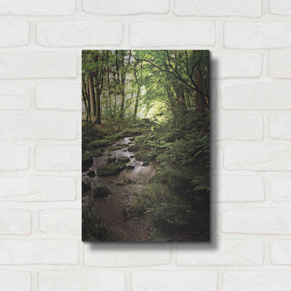 Luxe Metal Art 'Lush Creek in Forest' by Debra Van Swearingen, Metal Wall Art,12x16