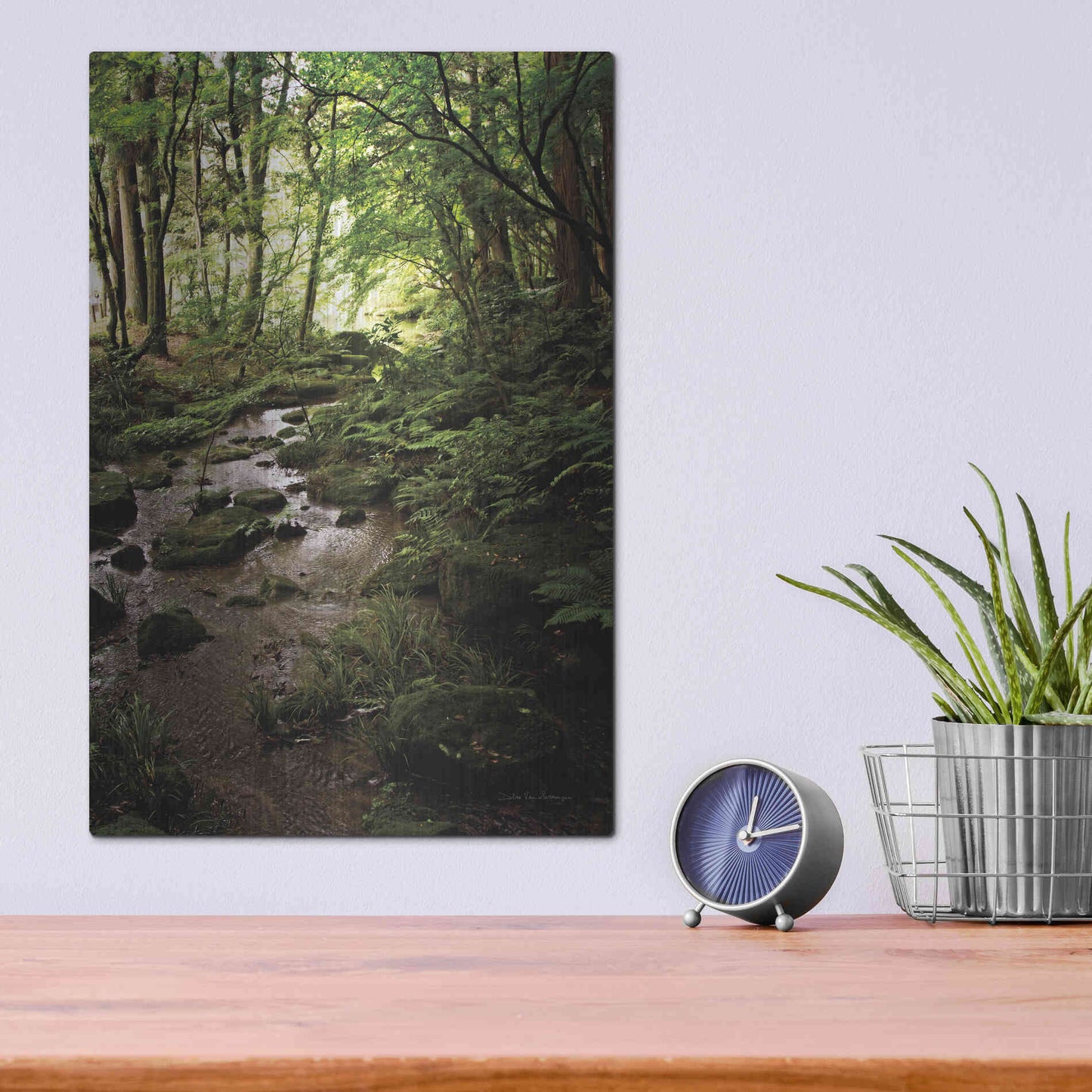 Luxe Metal Art 'Lush Creek in Forest' by Debra Van Swearingen, Metal Wall Art,12x16