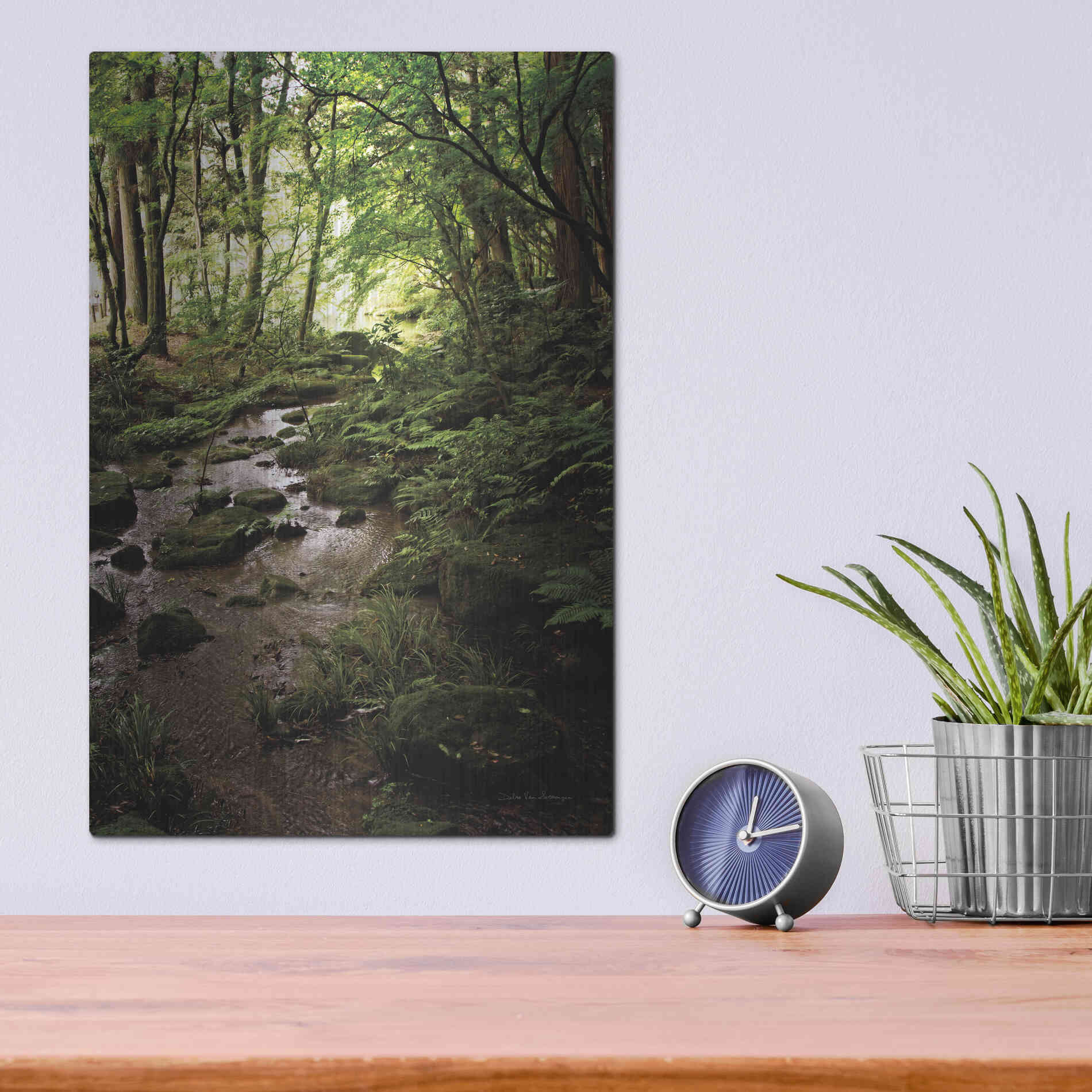 Luxe Metal Art 'Lush Creek in Forest' by Debra Van Swearingen, Metal Wall Art,12x16