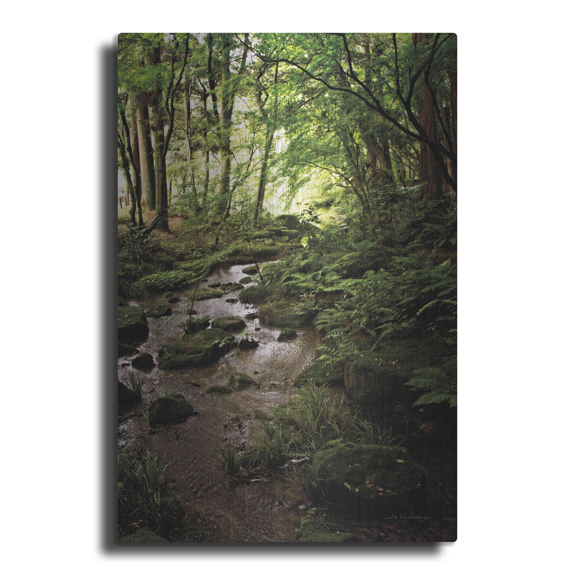 Luxe Metal Art 'Lush Creek in Forest' by Debra Van Swearingen, Metal Wall Art