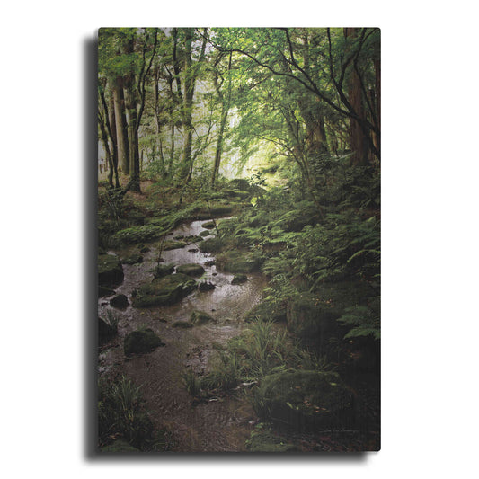 Luxe Metal Art 'Lush Creek in Forest' by Debra Van Swearingen, Metal Wall Art