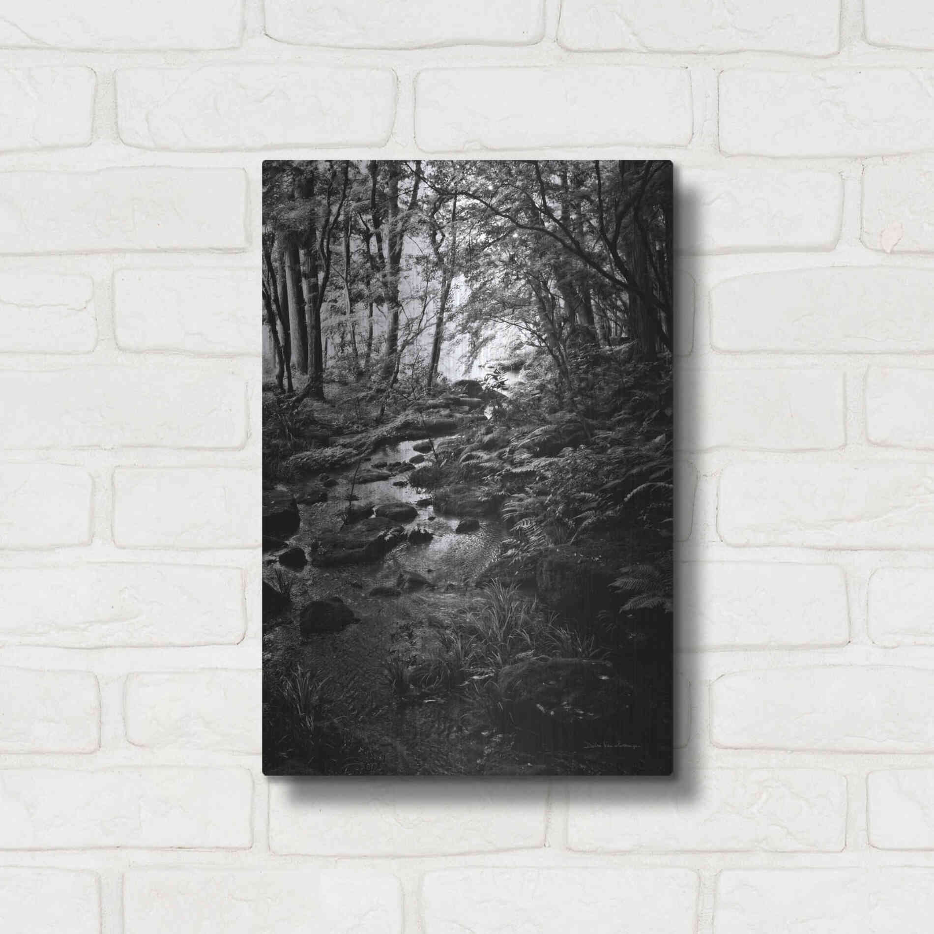 Luxe Metal Art 'Lush Creek in Forest BW' by Debra Van Swearingen, Metal Wall Art,12x16