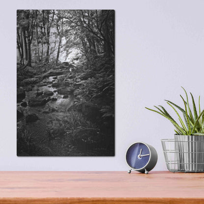 Luxe Metal Art 'Lush Creek in Forest BW' by Debra Van Swearingen, Metal Wall Art,12x16
