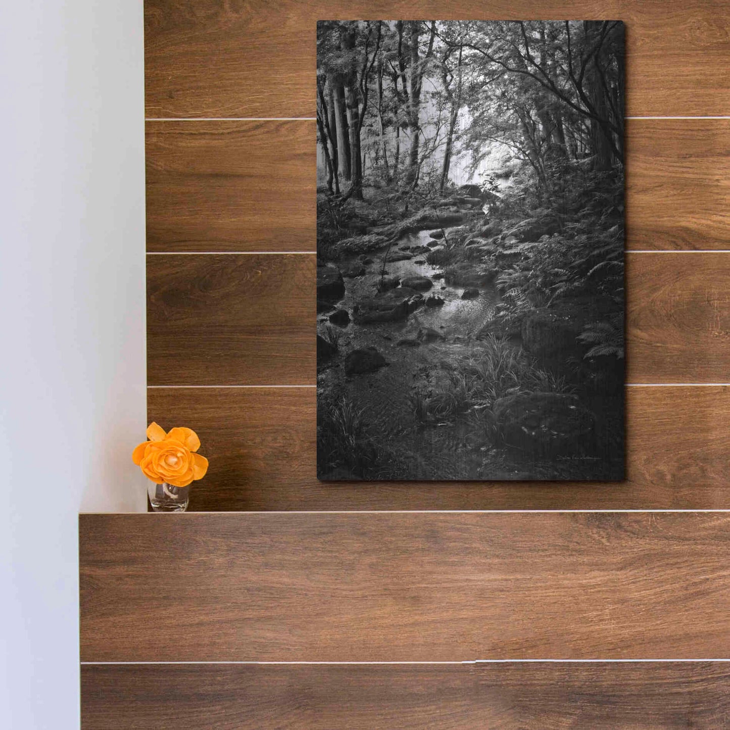 Luxe Metal Art 'Lush Creek in Forest BW' by Debra Van Swearingen, Metal Wall Art,12x16