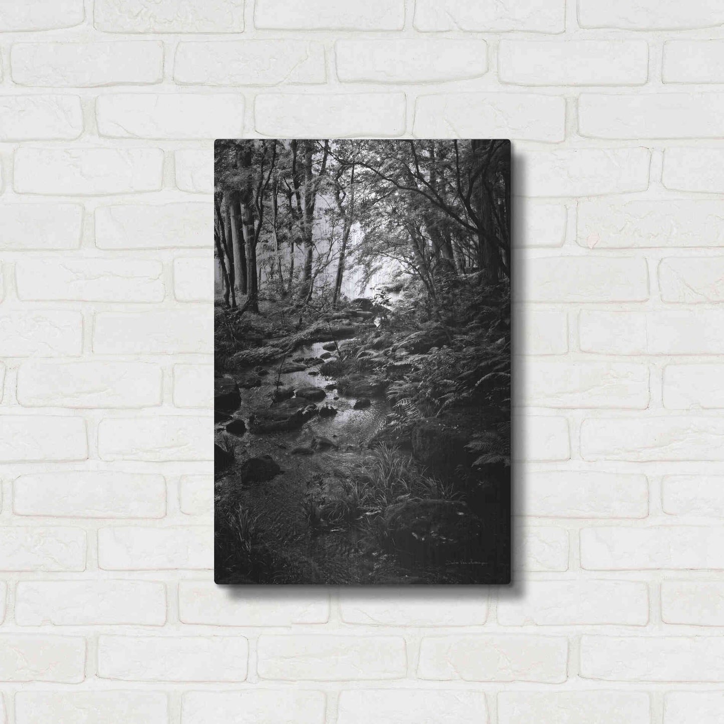 Luxe Metal Art 'Lush Creek in Forest BW' by Debra Van Swearingen, Metal Wall Art,16x24