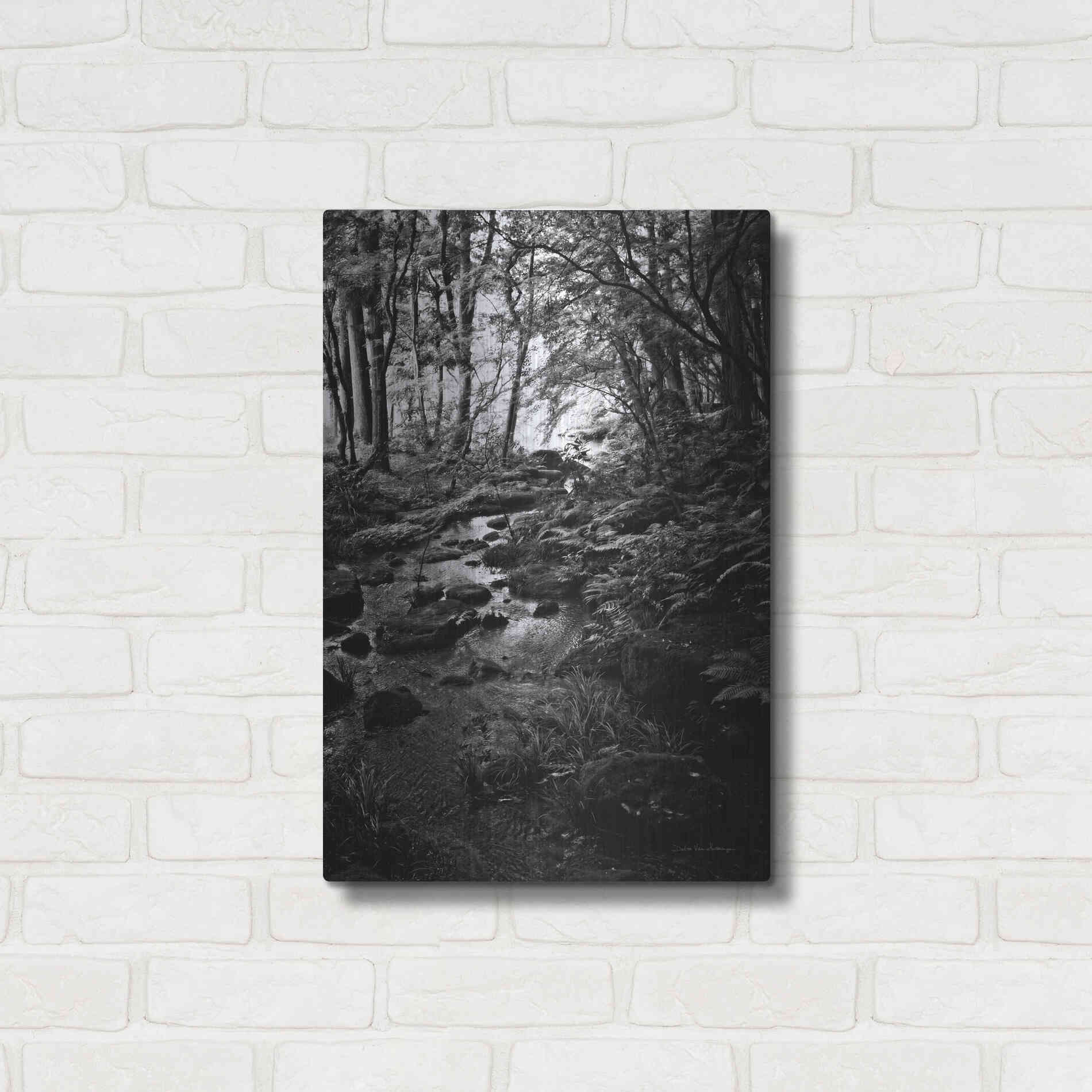 Luxe Metal Art 'Lush Creek in Forest BW' by Debra Van Swearingen, Metal Wall Art,16x24