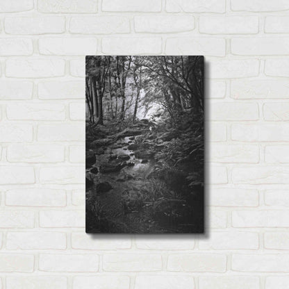 Luxe Metal Art 'Lush Creek in Forest BW' by Debra Van Swearingen, Metal Wall Art,16x24