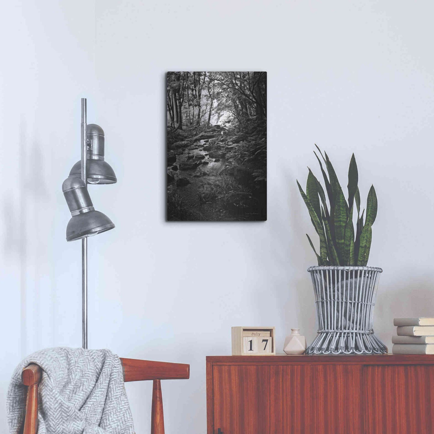 Luxe Metal Art 'Lush Creek in Forest BW' by Debra Van Swearingen, Metal Wall Art,16x24