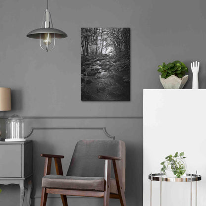 Luxe Metal Art 'Lush Creek in Forest BW' by Debra Van Swearingen, Metal Wall Art,16x24