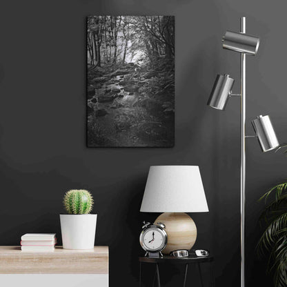 Luxe Metal Art 'Lush Creek in Forest BW' by Debra Van Swearingen, Metal Wall Art,16x24