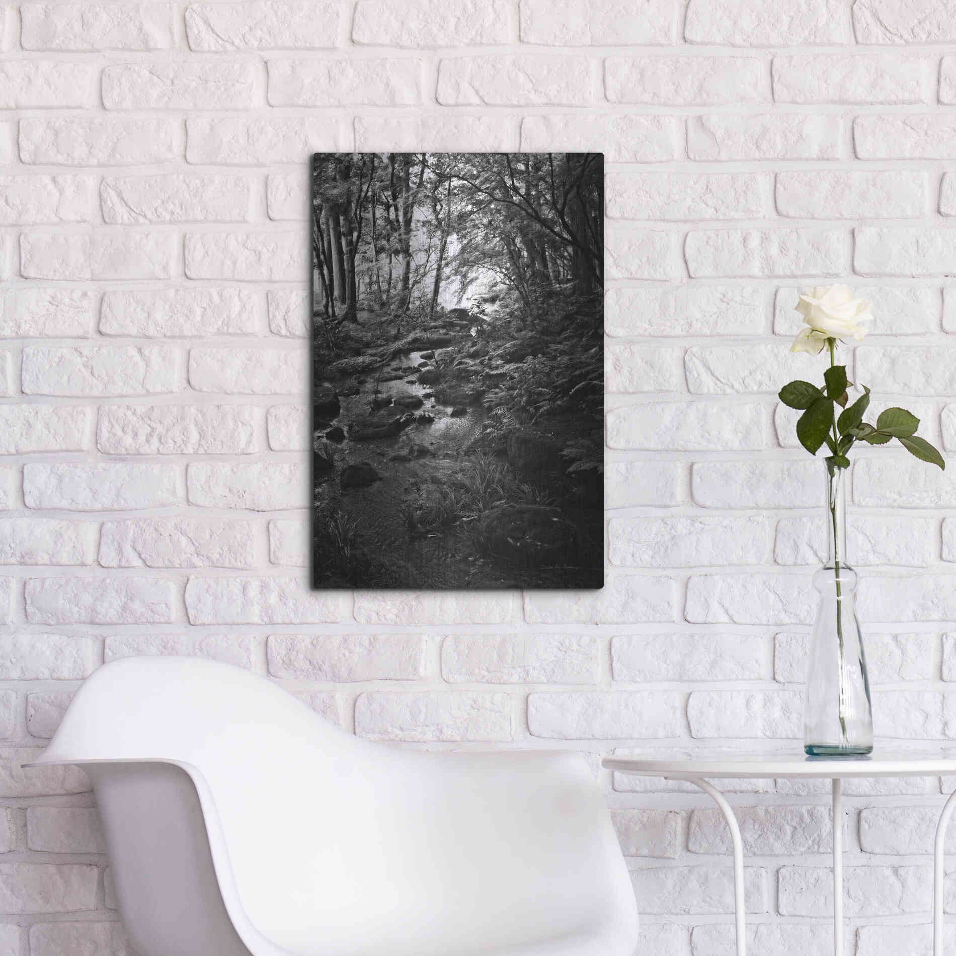 Luxe Metal Art 'Lush Creek in Forest BW' by Debra Van Swearingen, Metal Wall Art,16x24