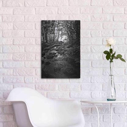 Luxe Metal Art 'Lush Creek in Forest BW' by Debra Van Swearingen, Metal Wall Art,16x24
