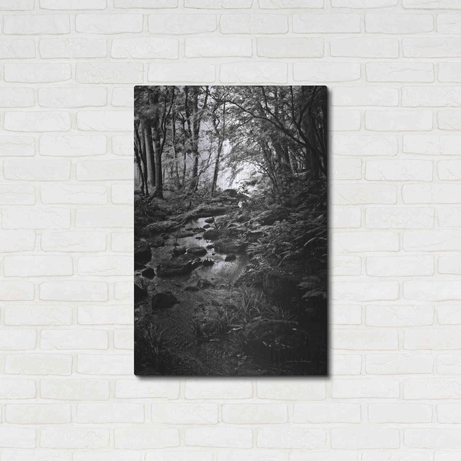 Luxe Metal Art 'Lush Creek in Forest BW' by Debra Van Swearingen, Metal Wall Art,24x36