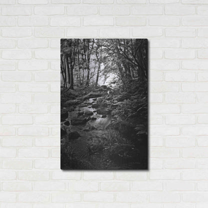 Luxe Metal Art 'Lush Creek in Forest BW' by Debra Van Swearingen, Metal Wall Art,24x36