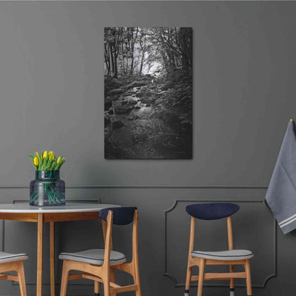 Luxe Metal Art 'Lush Creek in Forest BW' by Debra Van Swearingen, Metal Wall Art,24x36