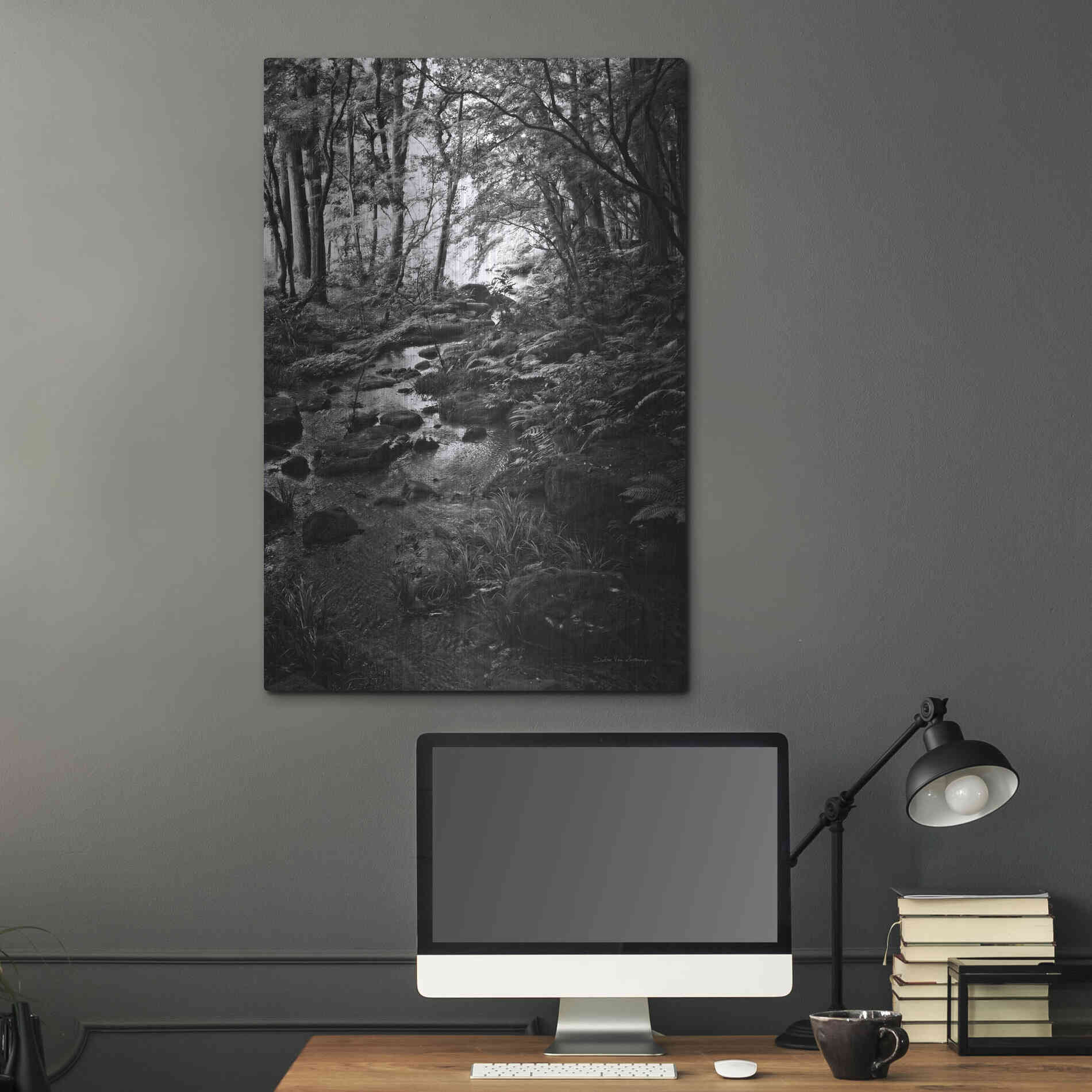 Luxe Metal Art 'Lush Creek in Forest BW' by Debra Van Swearingen, Metal Wall Art,24x36