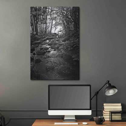 Luxe Metal Art 'Lush Creek in Forest BW' by Debra Van Swearingen, Metal Wall Art,24x36