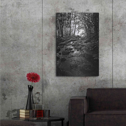 Luxe Metal Art 'Lush Creek in Forest BW' by Debra Van Swearingen, Metal Wall Art,24x36