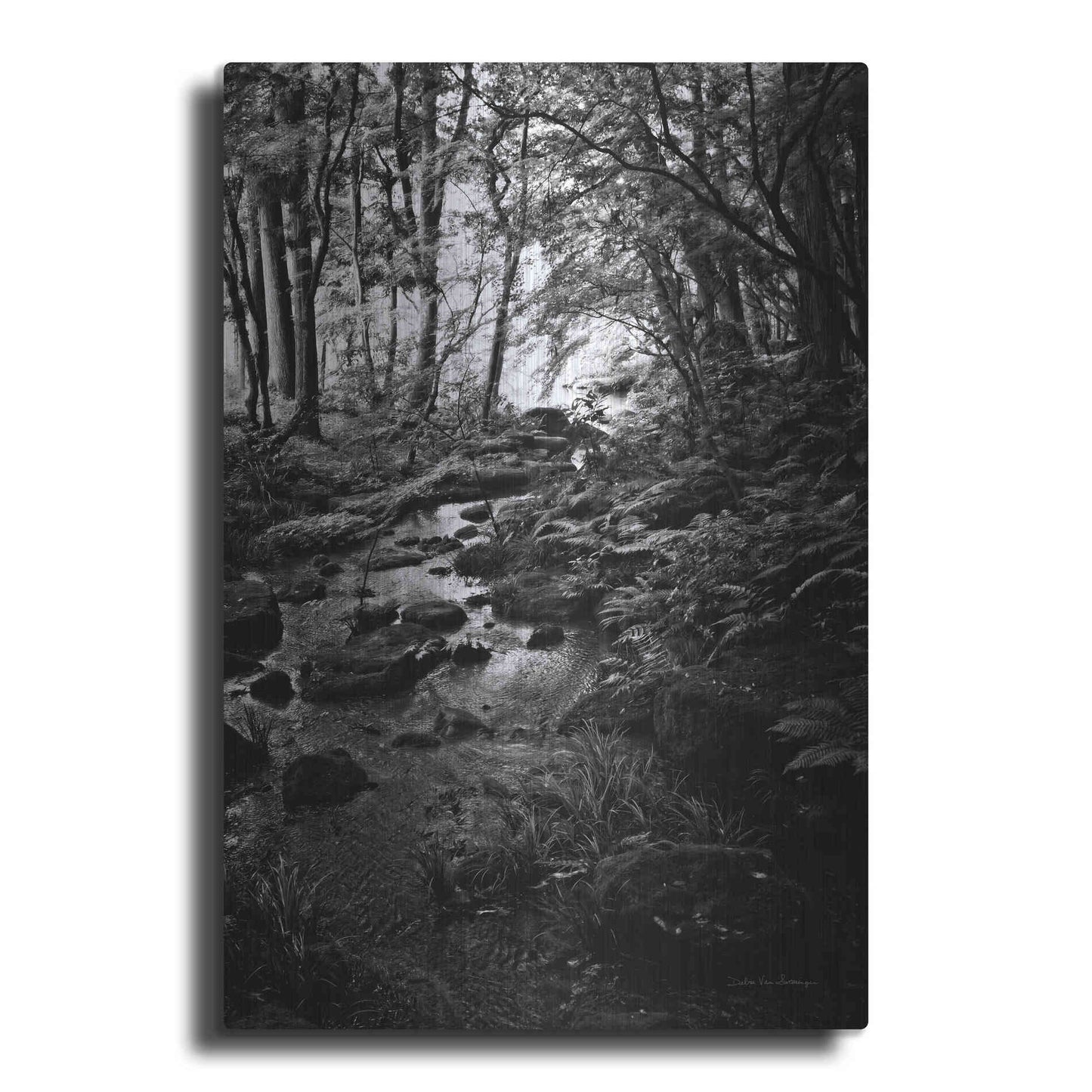 Luxe Metal Art 'Lush Creek in Forest BW' by Debra Van Swearingen, Metal Wall Art