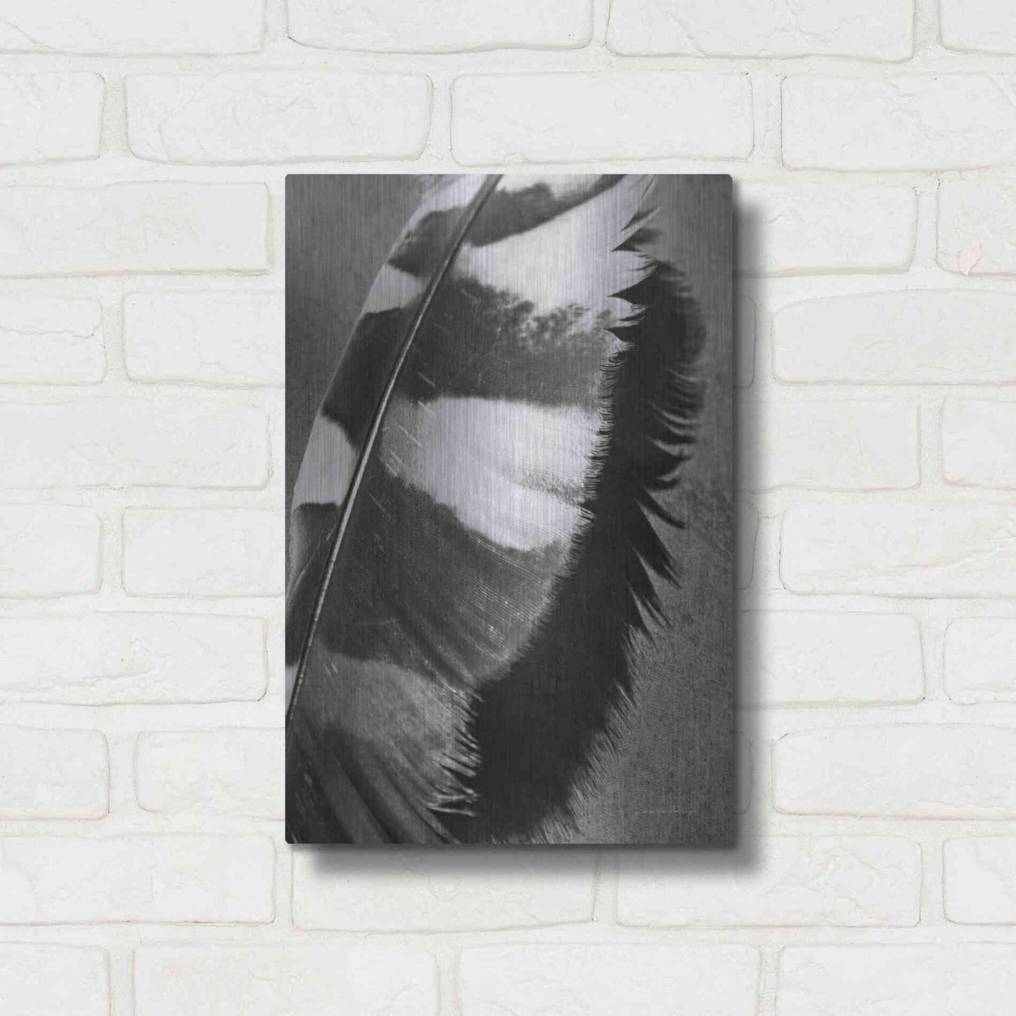 Luxe Metal Art 'Feather Shadow I' by Debra Van Swearingen, Metal Wall Art,12x16