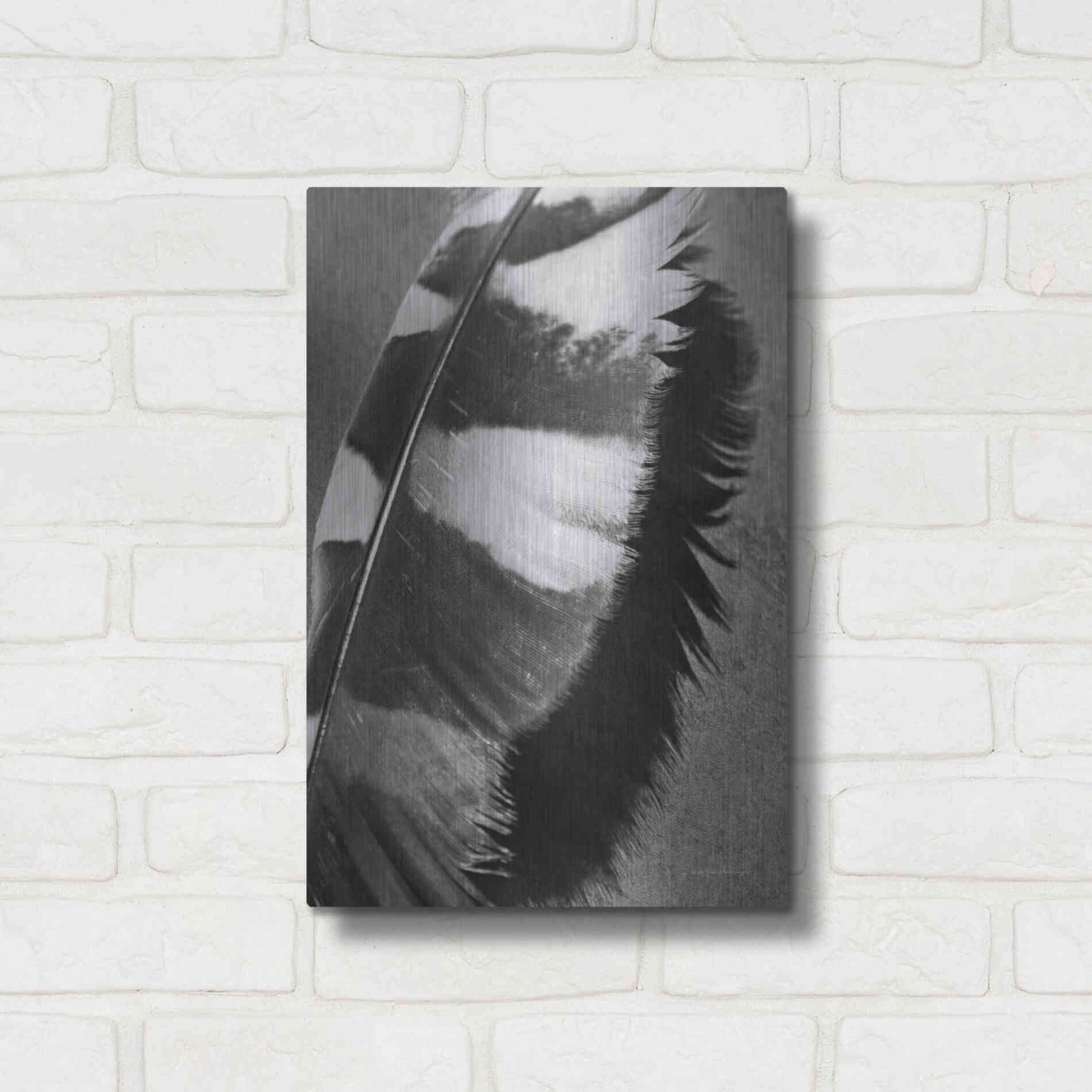 Luxe Metal Art 'Feather Shadow I' by Debra Van Swearingen, Metal Wall Art,12x16