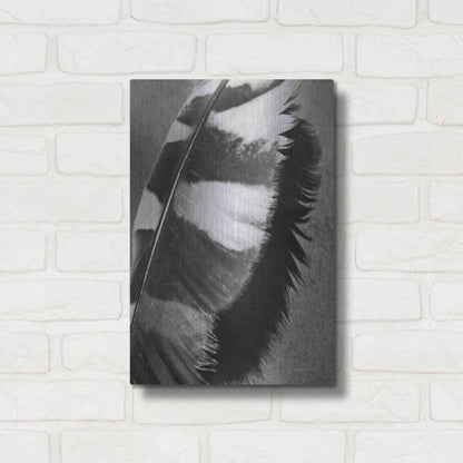 Luxe Metal Art 'Feather Shadow I' by Debra Van Swearingen, Metal Wall Art,12x16