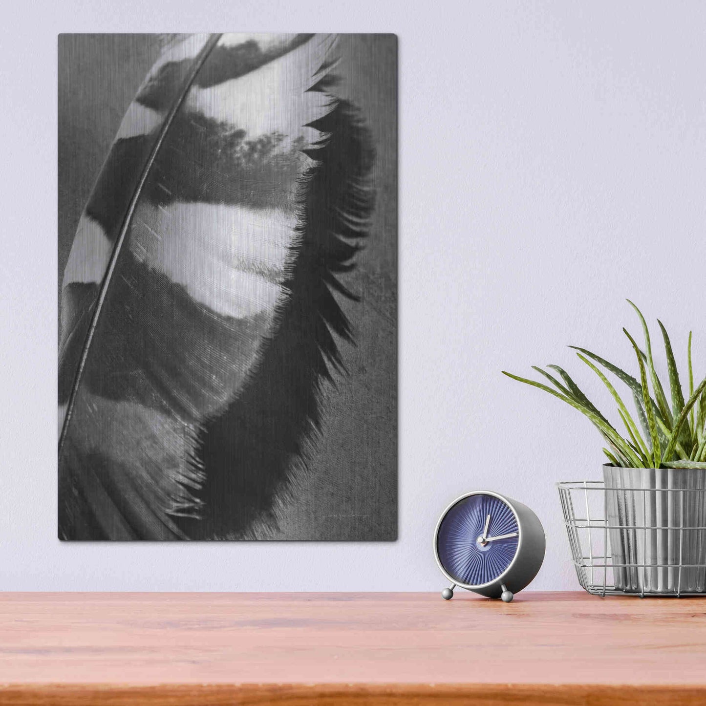 Luxe Metal Art 'Feather Shadow I' by Debra Van Swearingen, Metal Wall Art,12x16