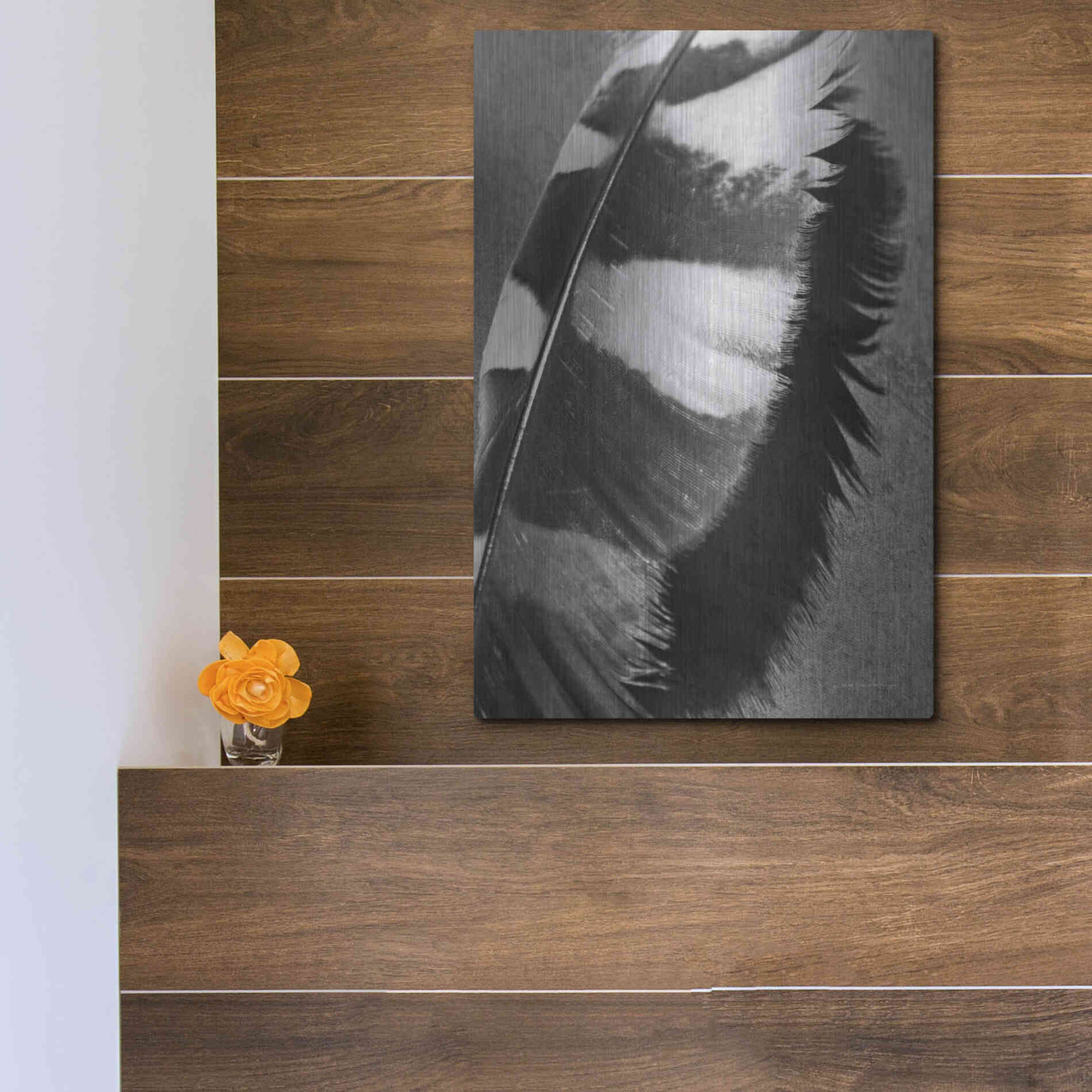 Luxe Metal Art 'Feather Shadow I' by Debra Van Swearingen, Metal Wall Art,12x16