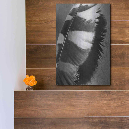 Luxe Metal Art 'Feather Shadow I' by Debra Van Swearingen, Metal Wall Art,12x16