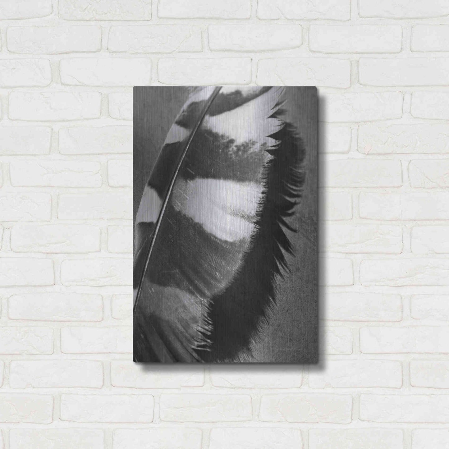 Luxe Metal Art 'Feather Shadow I' by Debra Van Swearingen, Metal Wall Art,16x24