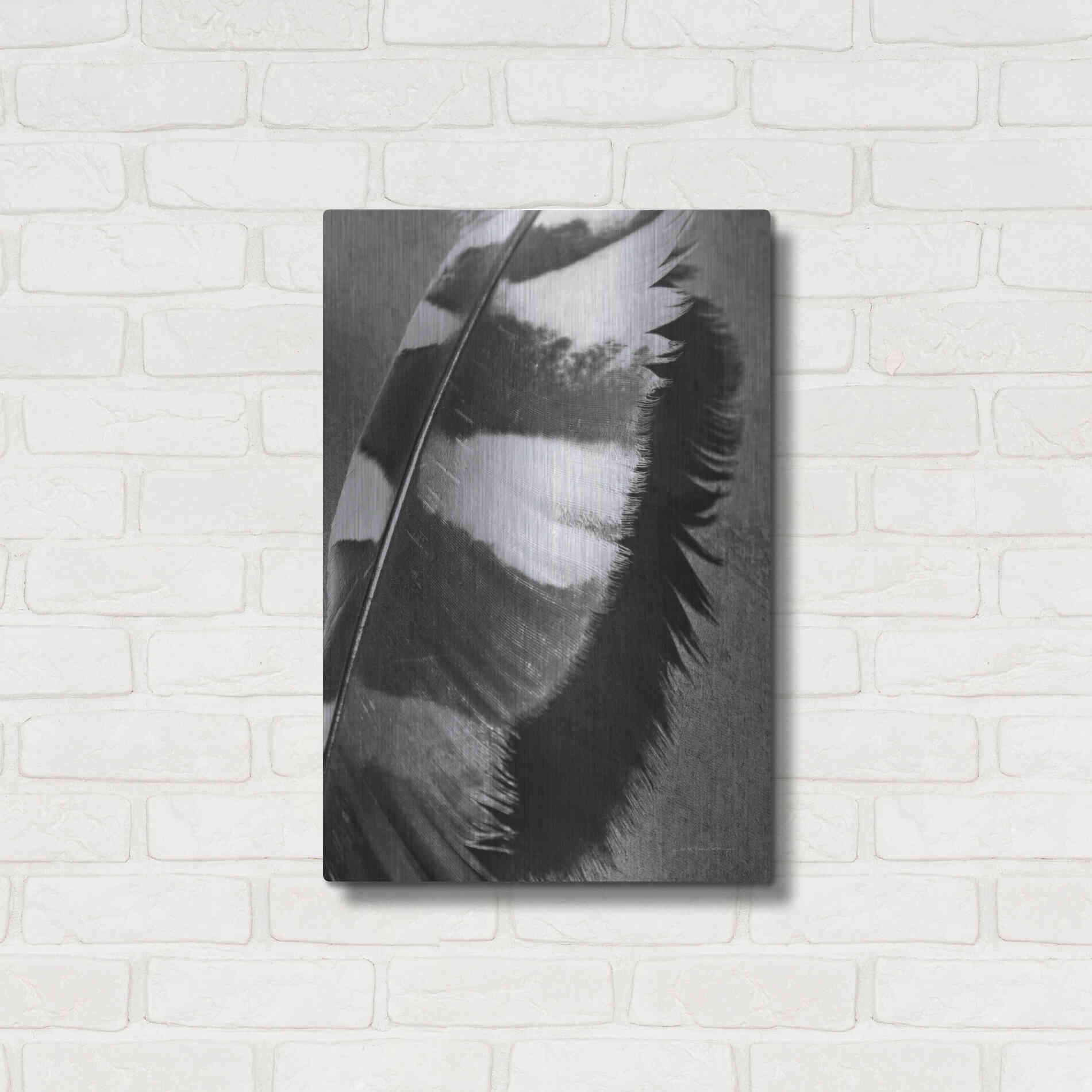 Luxe Metal Art 'Feather Shadow I' by Debra Van Swearingen, Metal Wall Art,16x24