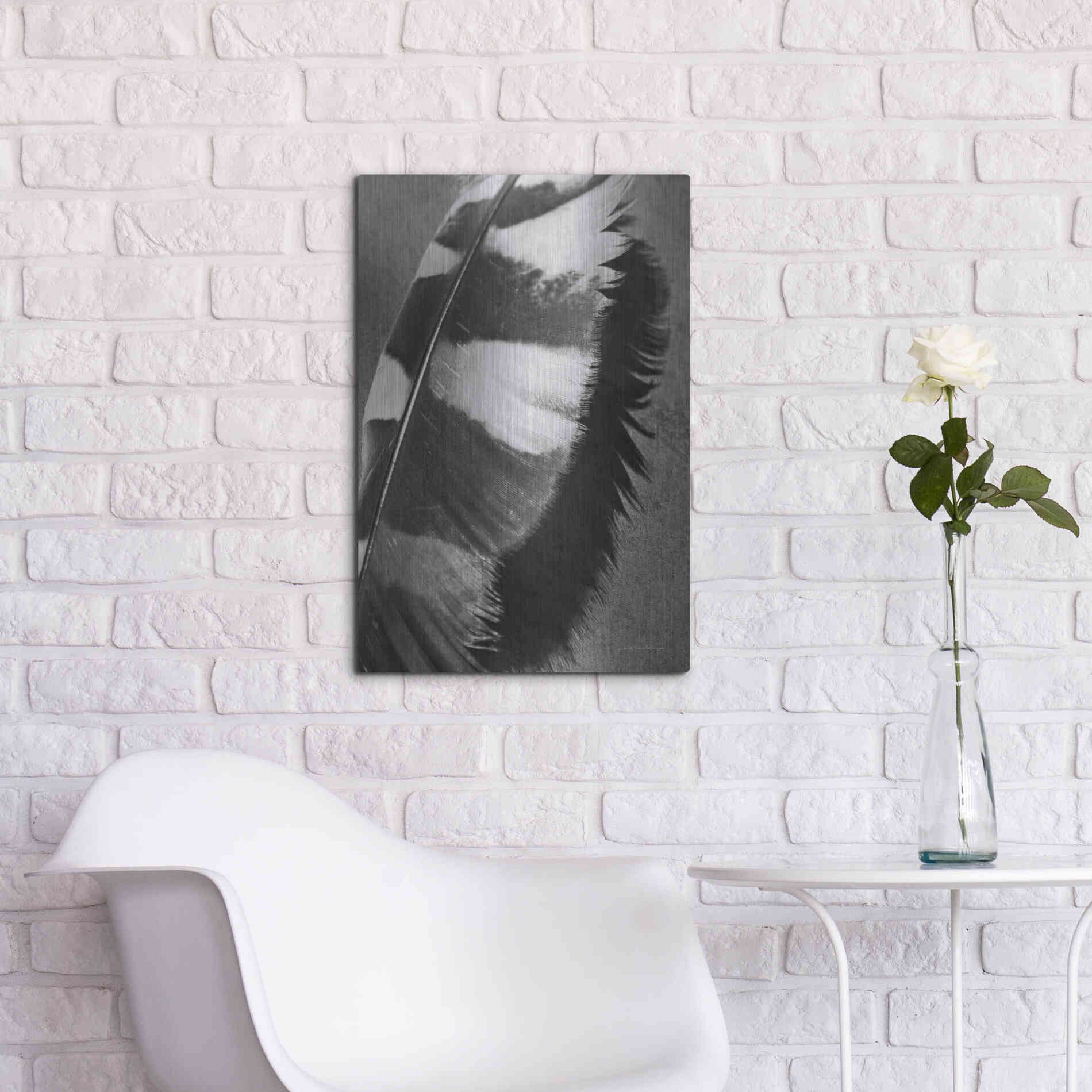 Luxe Metal Art 'Feather Shadow I' by Debra Van Swearingen, Metal Wall Art,16x24