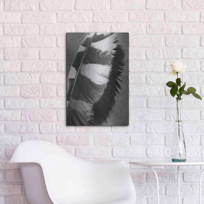 Luxe Metal Art 'Feather Shadow I' by Debra Van Swearingen, Metal Wall Art,16x24