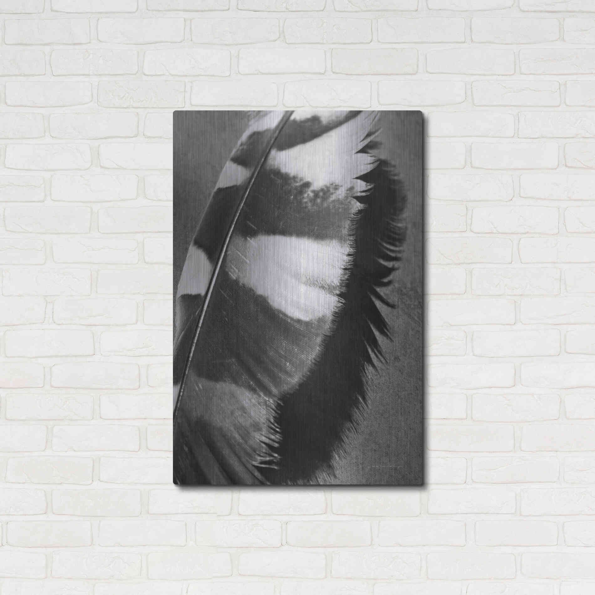 Luxe Metal Art 'Feather Shadow I' by Debra Van Swearingen, Metal Wall Art,24x36