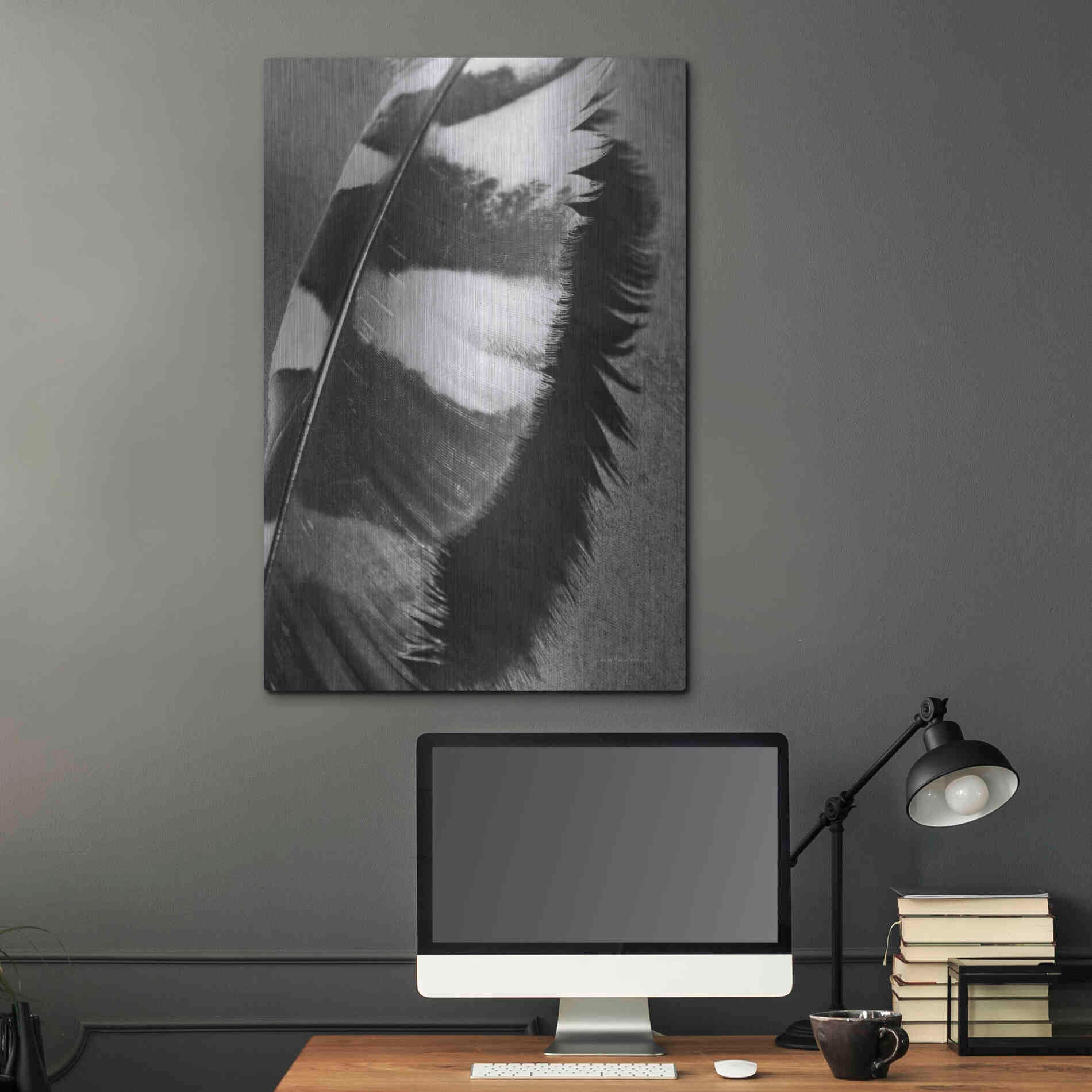 Luxe Metal Art 'Feather Shadow I' by Debra Van Swearingen, Metal Wall Art,24x36
