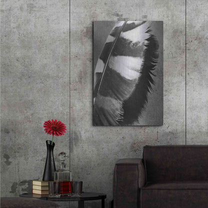 Luxe Metal Art 'Feather Shadow I' by Debra Van Swearingen, Metal Wall Art,24x36