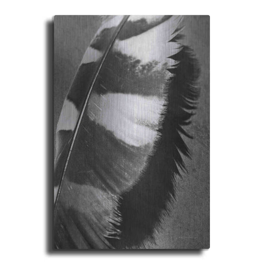 Luxe Metal Art 'Feather Shadow I' by Debra Van Swearingen, Metal Wall Art