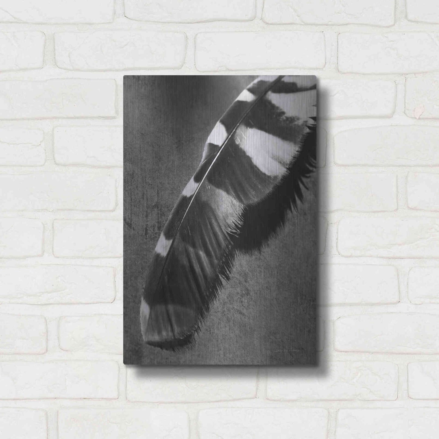 Luxe Metal Art 'Feather Shadow II' by Debra Van Swearingen, Metal Wall Art,12x16