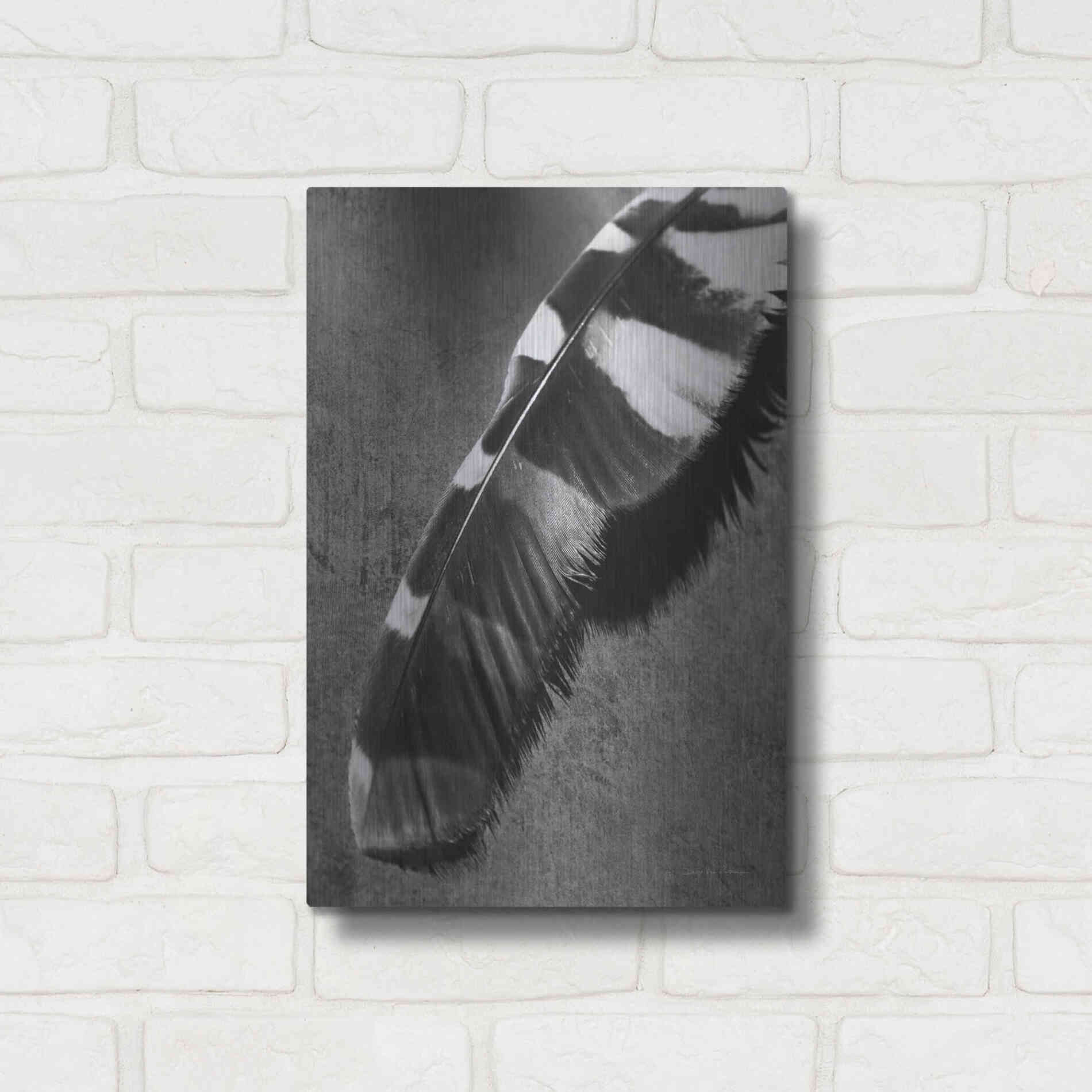 Luxe Metal Art 'Feather Shadow II' by Debra Van Swearingen, Metal Wall Art,12x16