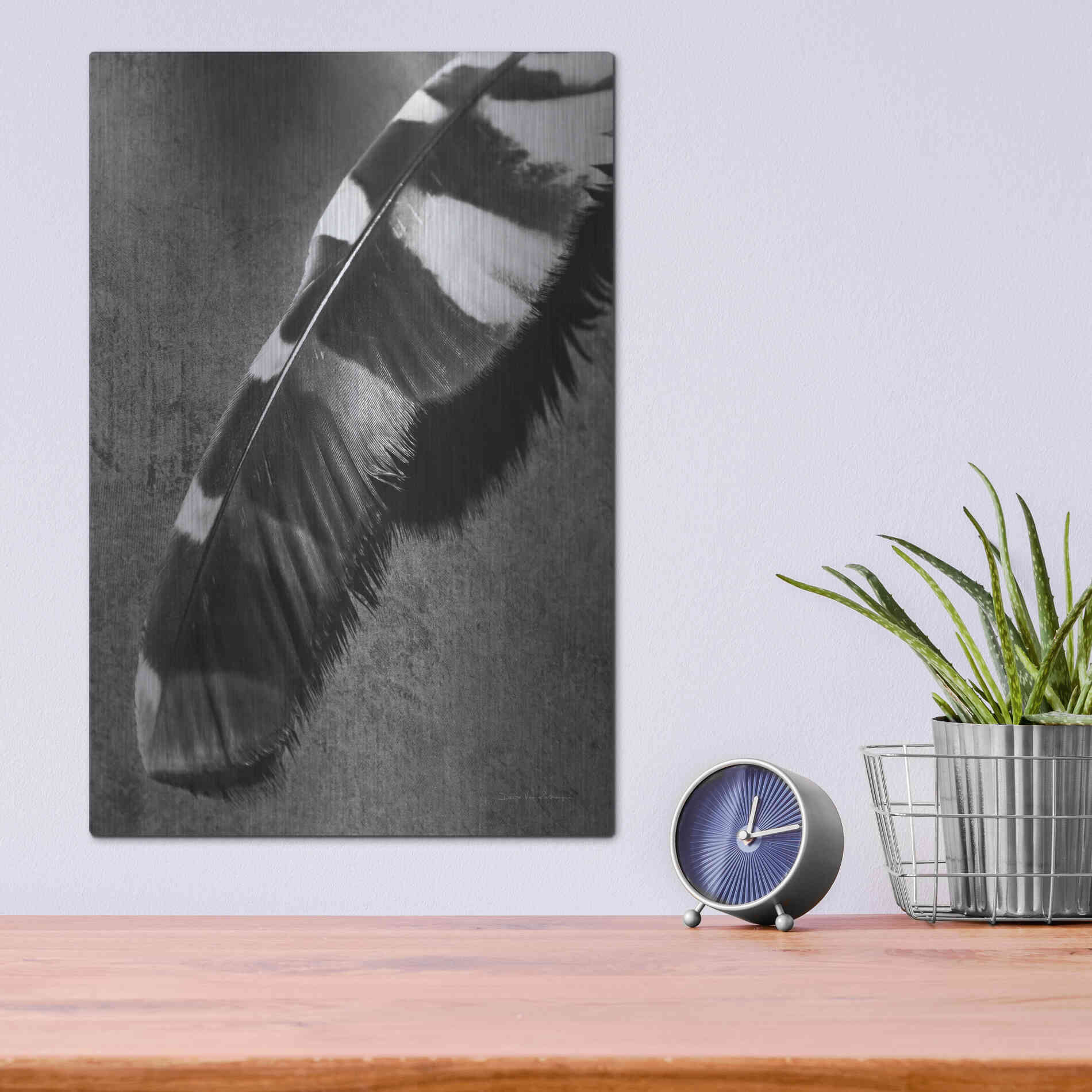 Luxe Metal Art 'Feather Shadow II' by Debra Van Swearingen, Metal Wall Art,12x16