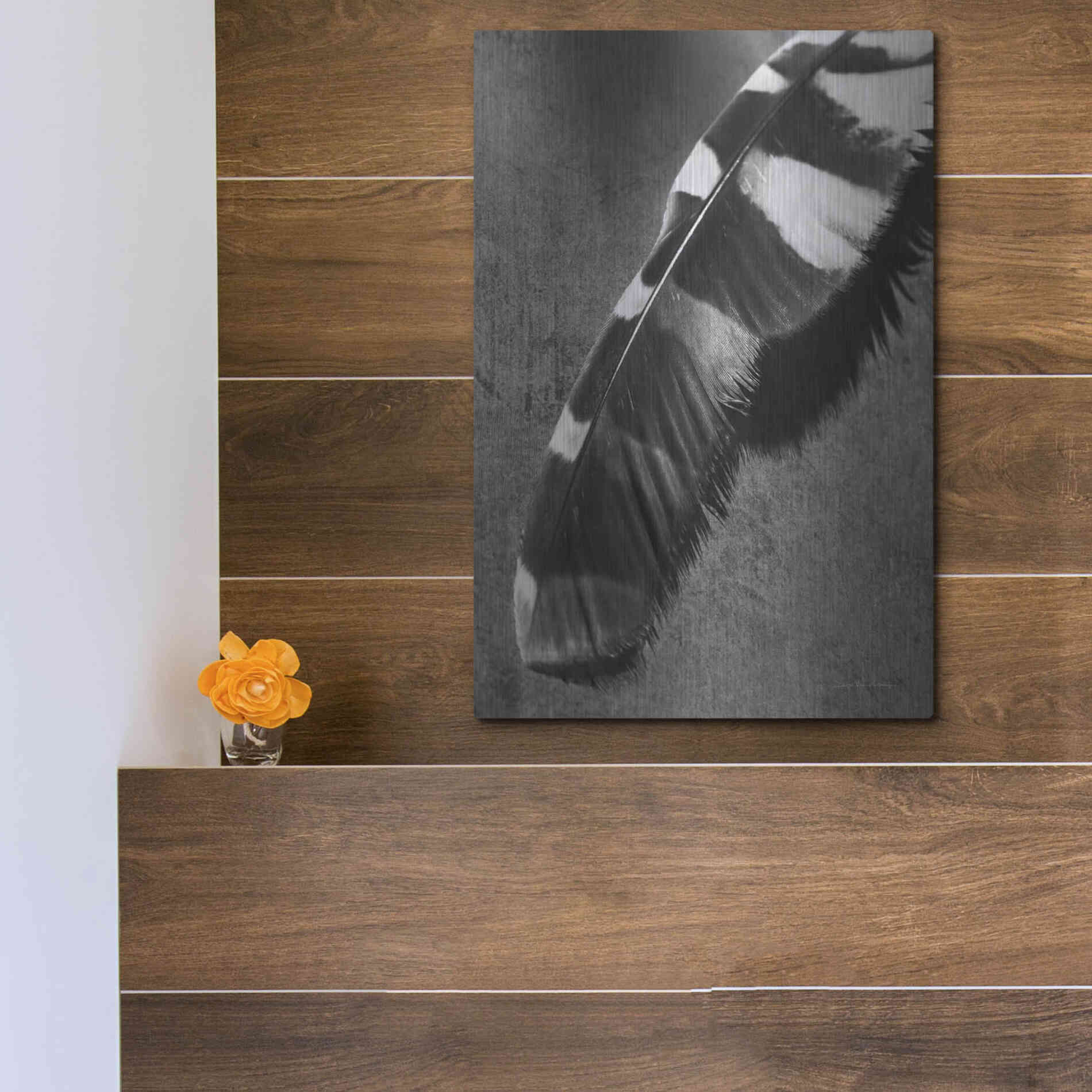 Luxe Metal Art 'Feather Shadow II' by Debra Van Swearingen, Metal Wall Art,12x16