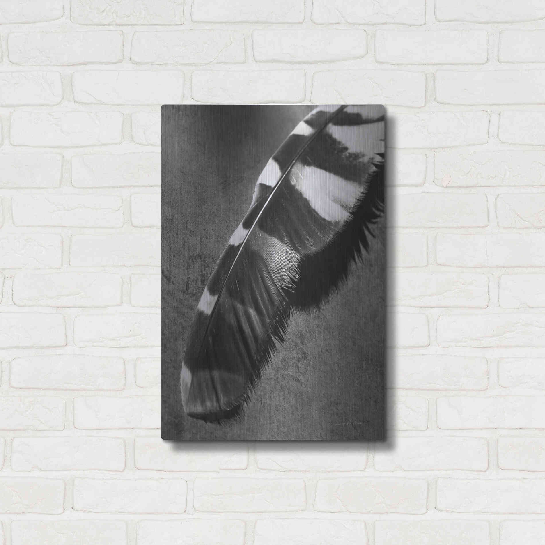 Luxe Metal Art 'Feather Shadow II' by Debra Van Swearingen, Metal Wall Art,16x24