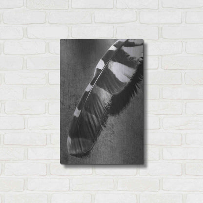 Luxe Metal Art 'Feather Shadow II' by Debra Van Swearingen, Metal Wall Art,16x24