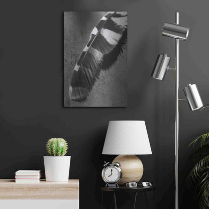 Luxe Metal Art 'Feather Shadow II' by Debra Van Swearingen, Metal Wall Art,16x24