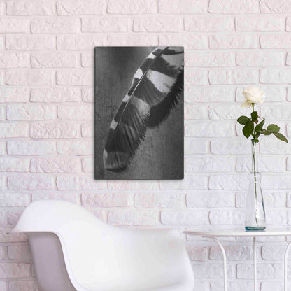 Luxe Metal Art 'Feather Shadow II' by Debra Van Swearingen, Metal Wall Art,16x24