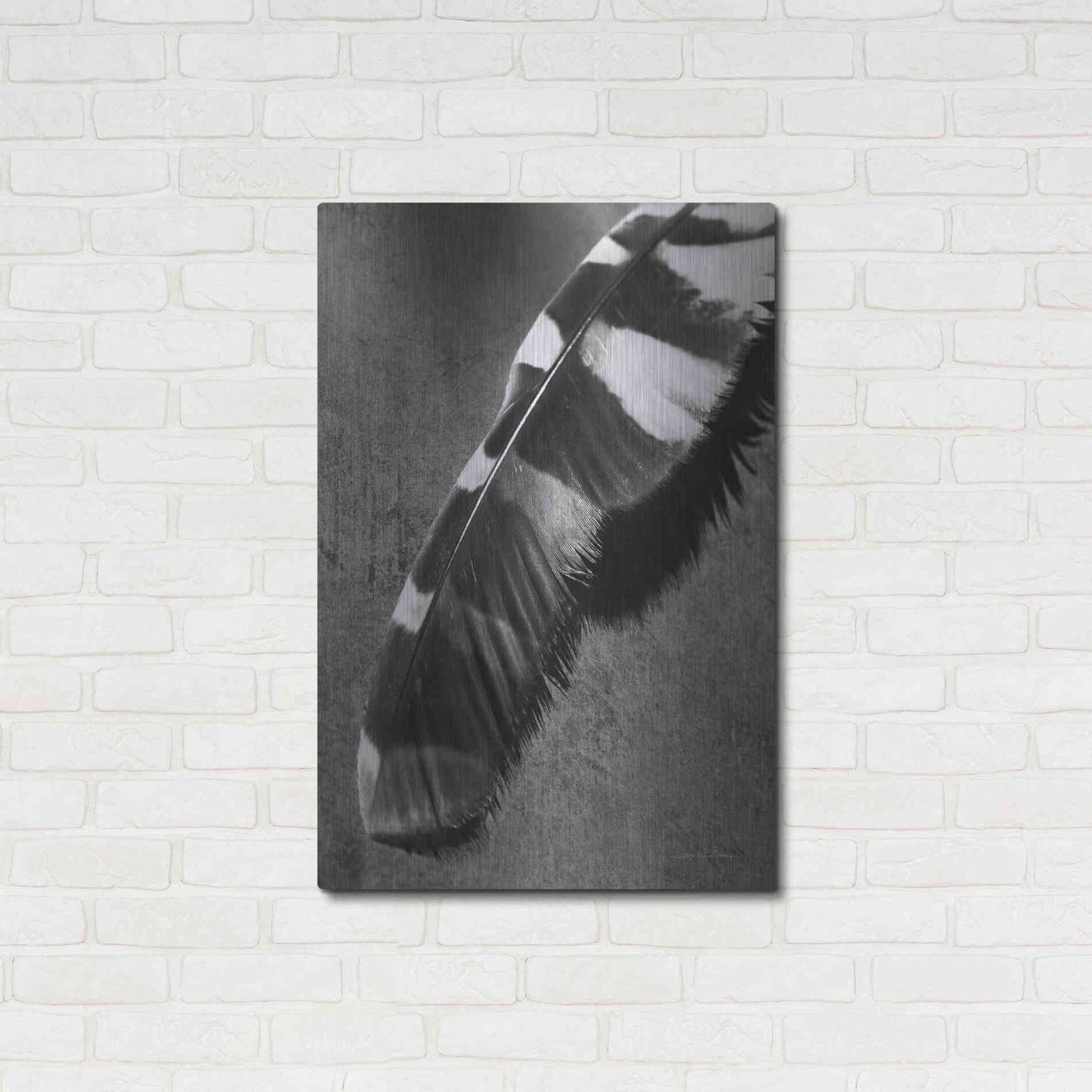 Luxe Metal Art 'Feather Shadow II' by Debra Van Swearingen, Metal Wall Art,24x36