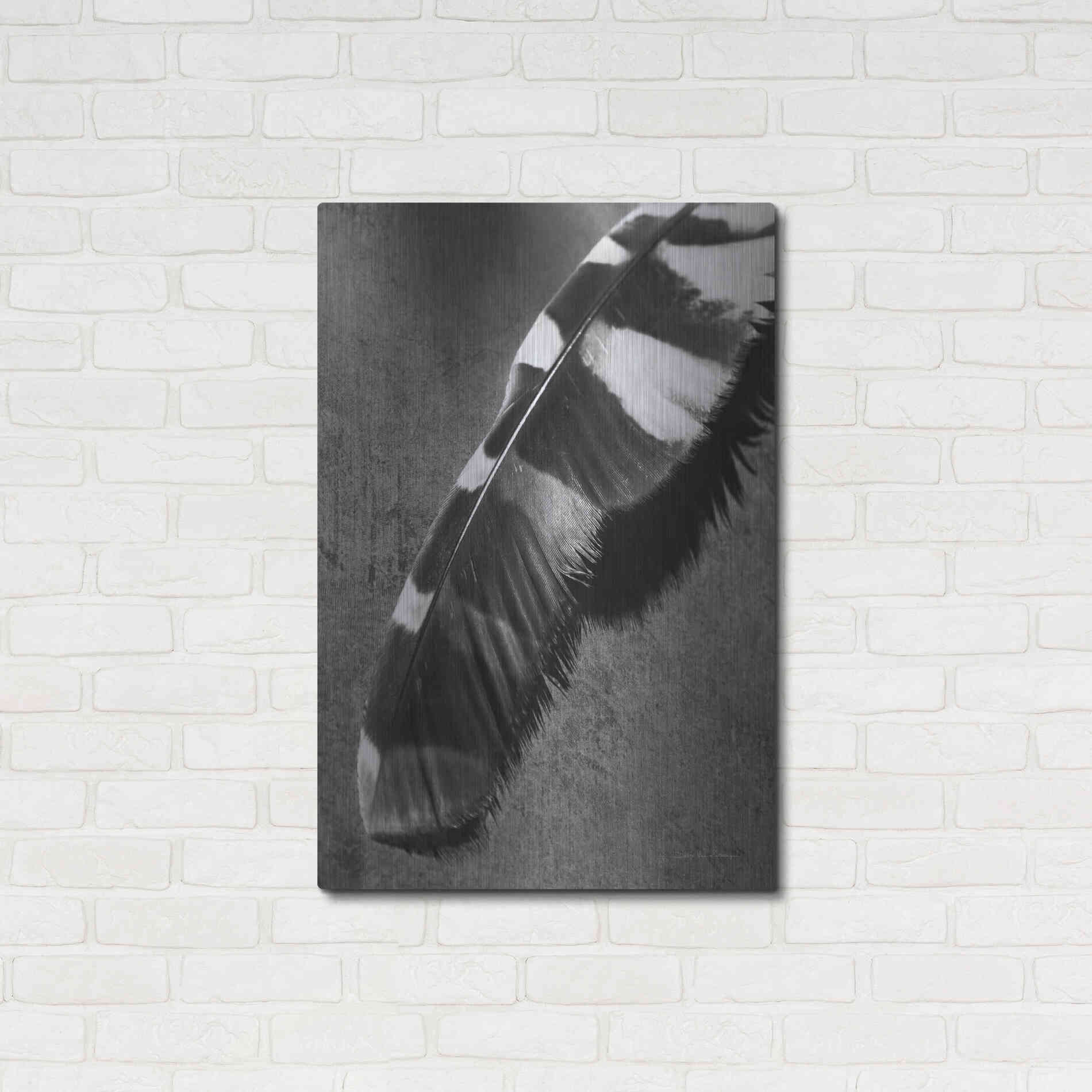 Luxe Metal Art 'Feather Shadow II' by Debra Van Swearingen, Metal Wall Art,24x36