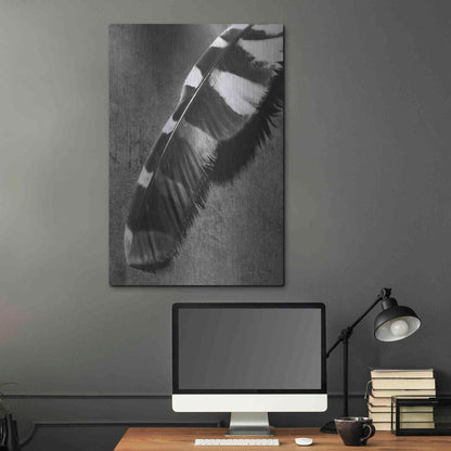 Luxe Metal Art 'Feather Shadow II' by Debra Van Swearingen, Metal Wall Art,24x36