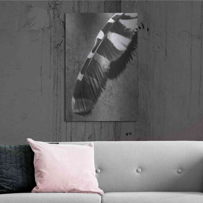 Luxe Metal Art 'Feather Shadow II' by Debra Van Swearingen, Metal Wall Art,24x36