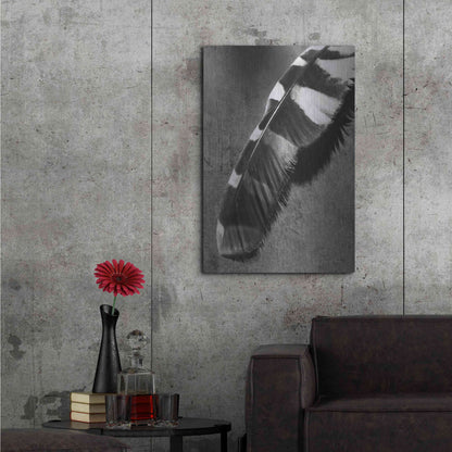 Luxe Metal Art 'Feather Shadow II' by Debra Van Swearingen, Metal Wall Art,24x36